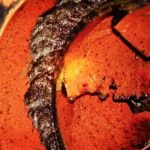 Cara Mengatasi Kavitasi Pompa Industri